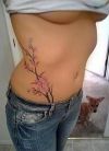 cherry blossom branch lower stomach tats